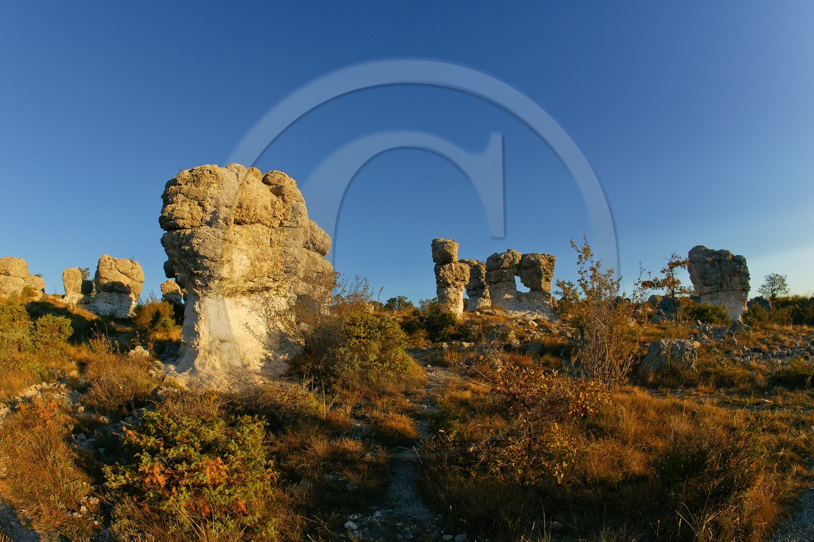 Les Mourres de Forcalquier