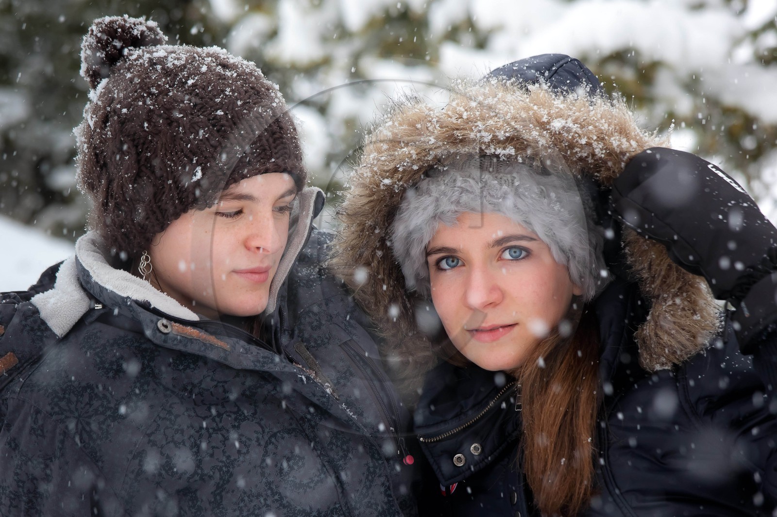 Hiver, randonnée balade sous la neige