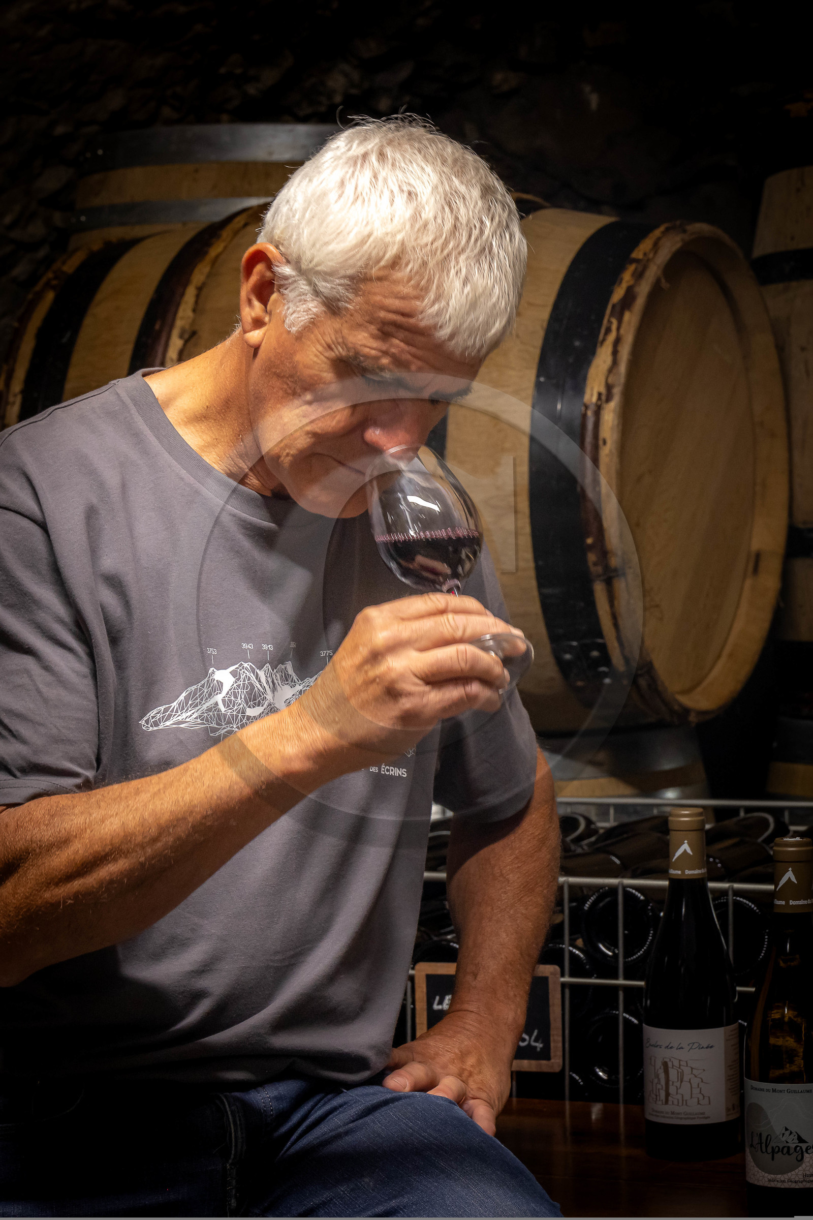 Domaine du Mont Guillaume, Emmanuel Berteloot vigneron