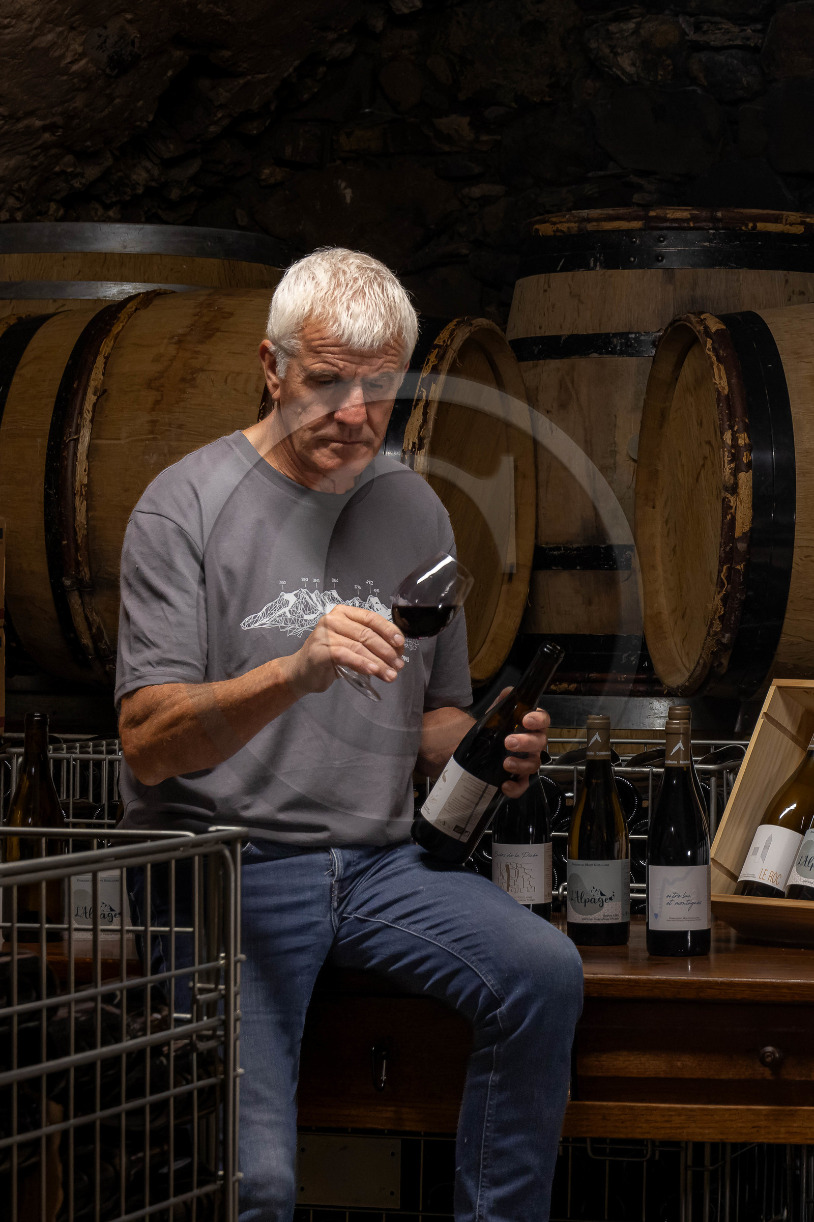 Domaine du Mont Guillaume, Emmanuel Berteloot vigneron