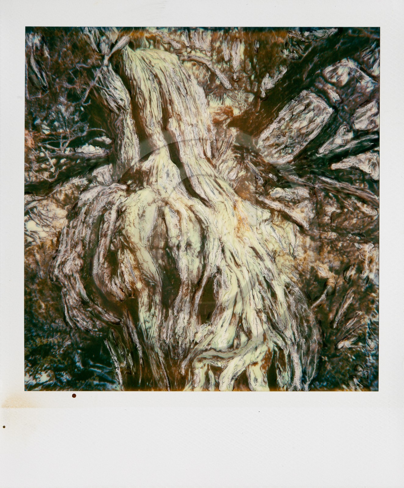 Exposition Arbres et petites forêts, éloge de la biodiversité