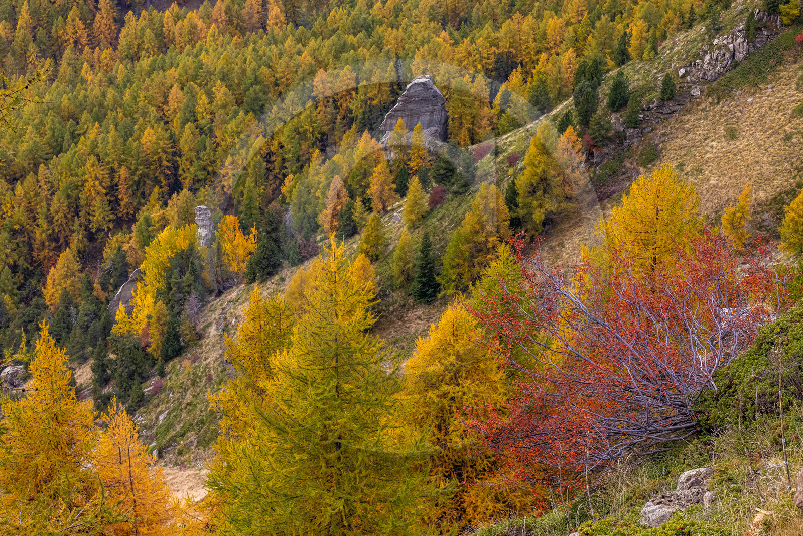 L'automne dans la Vallée du Champsaur