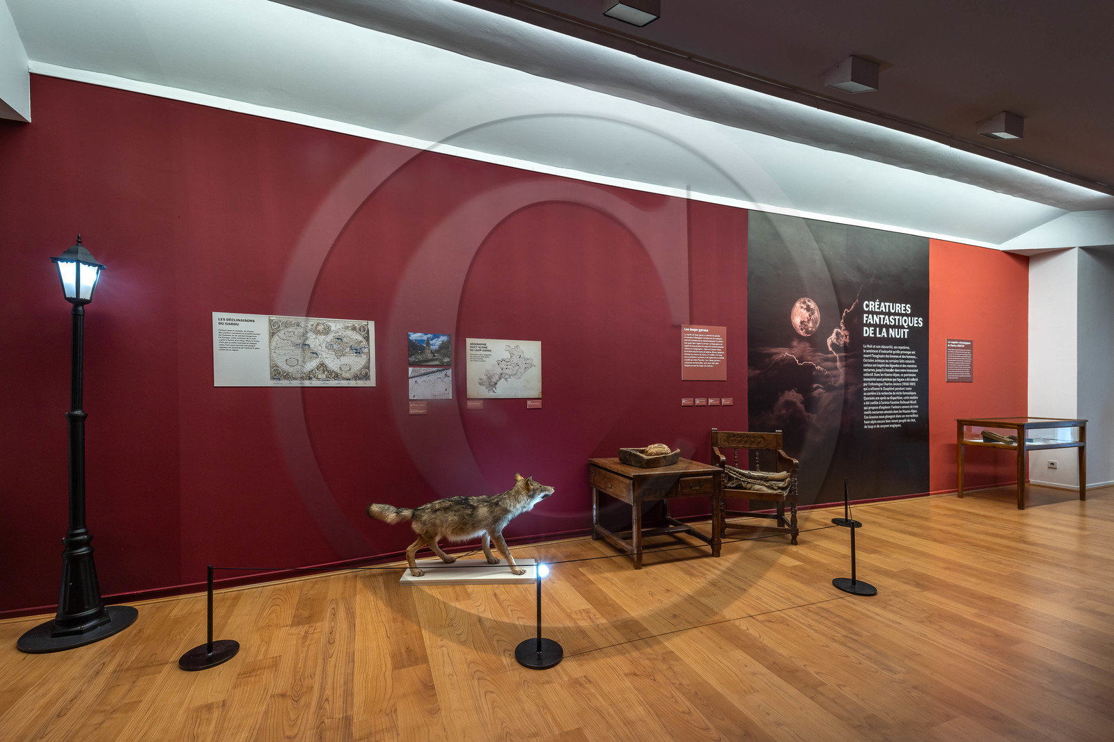 Musée Muséum départemental des Hautes-Alpes, Exposition Nuit