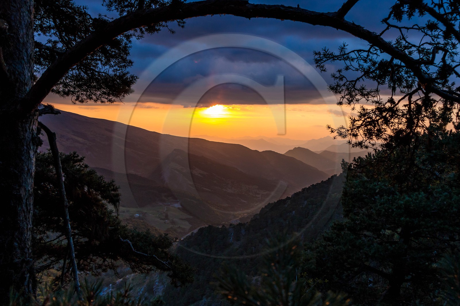 Les Monges, vallon de Reynier
