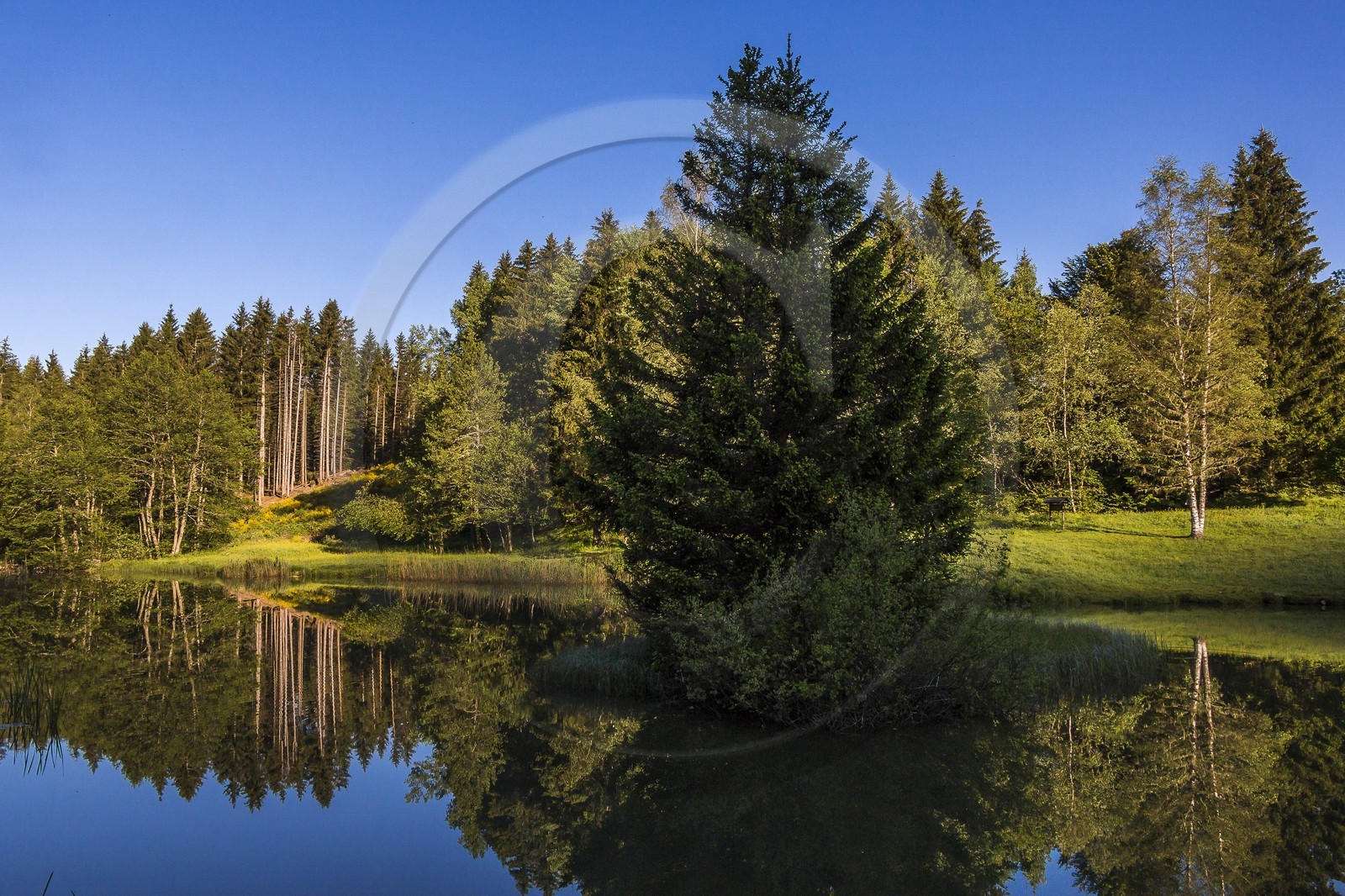 ENS de l'Isère, Marais des Seiglières
