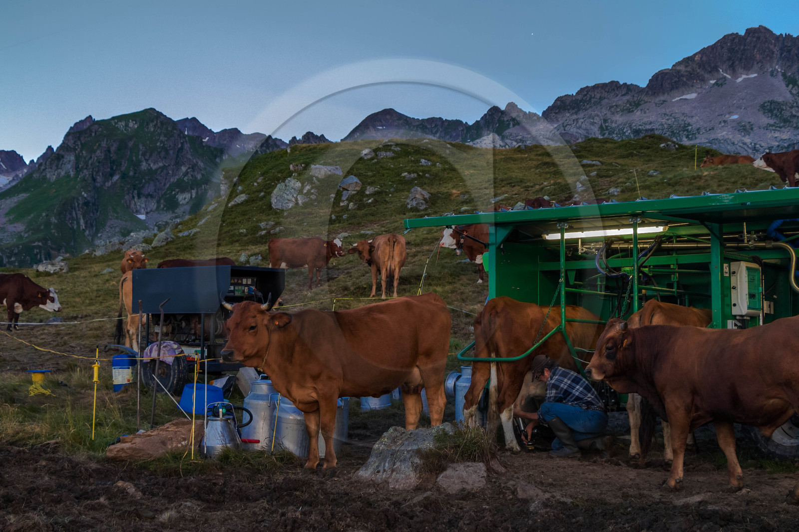 Alpage de l'Arpettaz