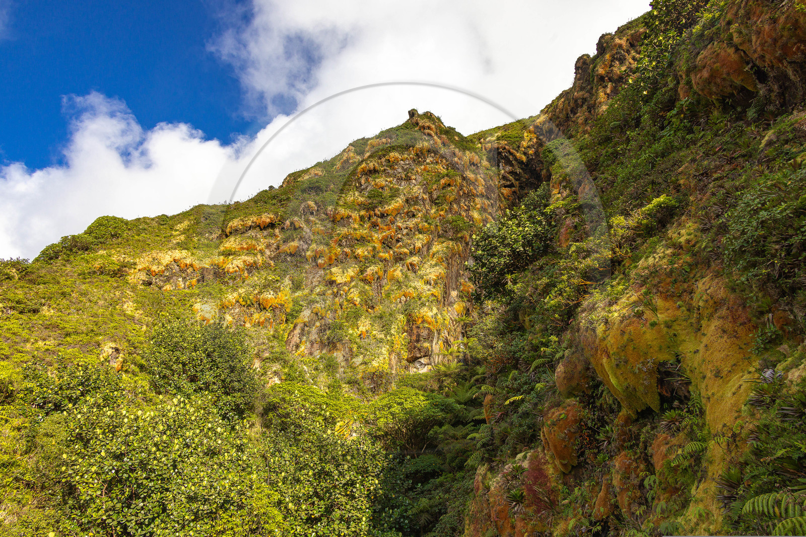 La Soufrière, volcan actif de la Guadeloupe
