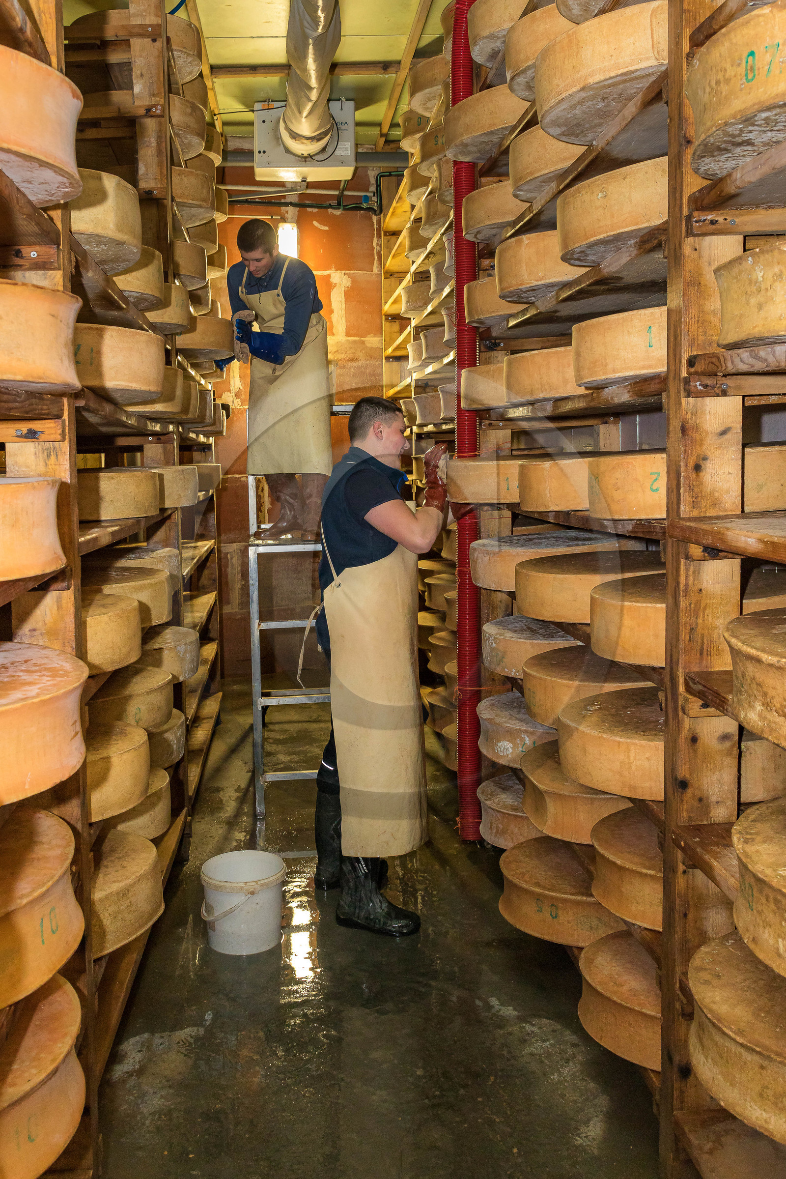 Fromagerie du Plan, Pierrick Rolland, éleveur