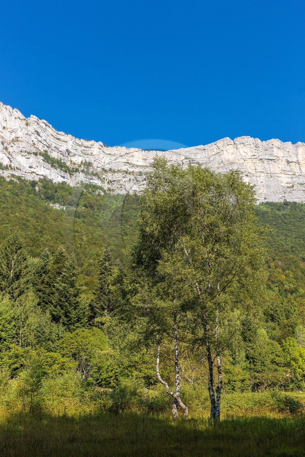 ENS de l'Isère,Tourbières du Peuil