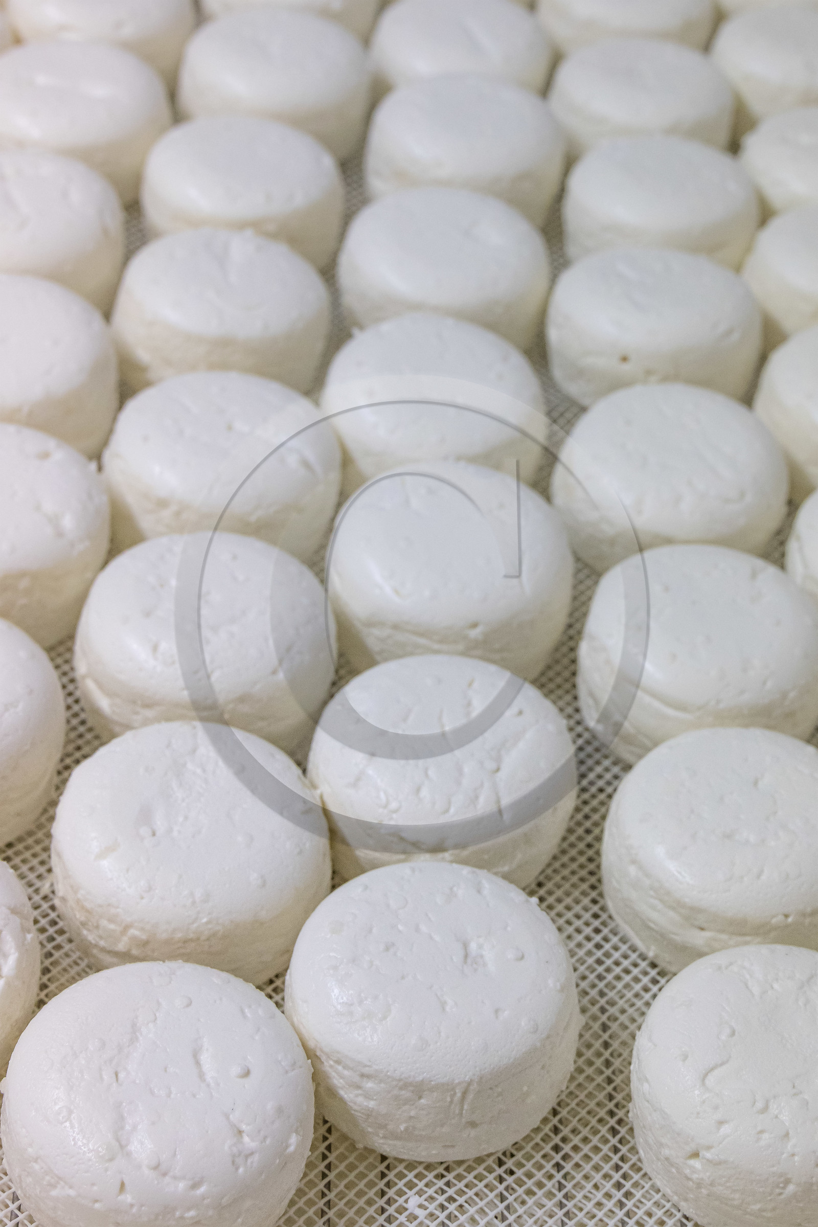 Gaec La Ferme des Ecrins