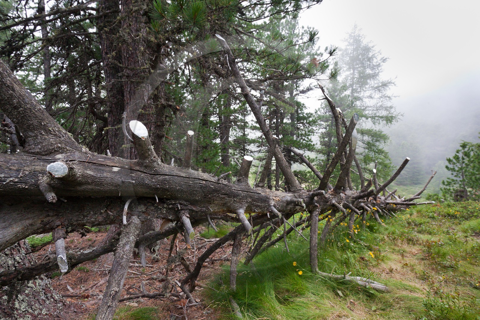 Sentiers Art et Nature Queyras et Val Varaita, Peter Gross