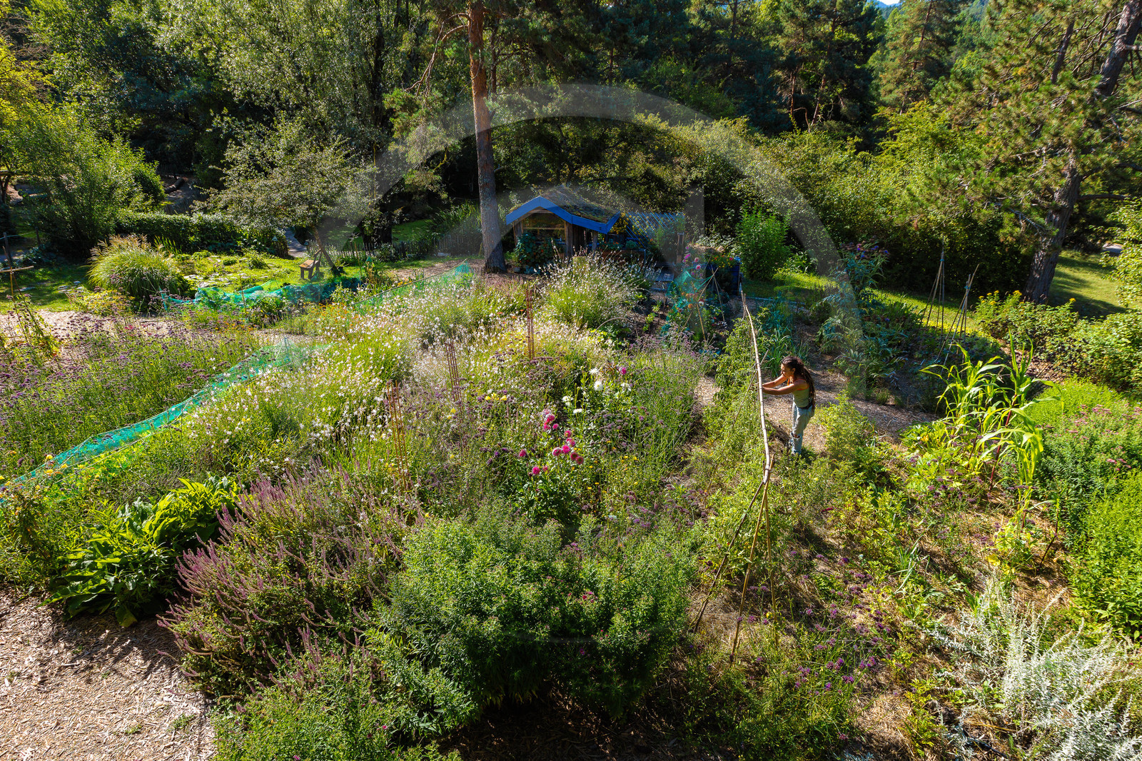 Parc écologique Terre Vivante