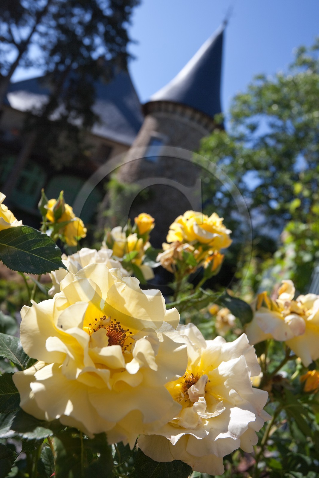 Château de Picomtal,  les jardins du château