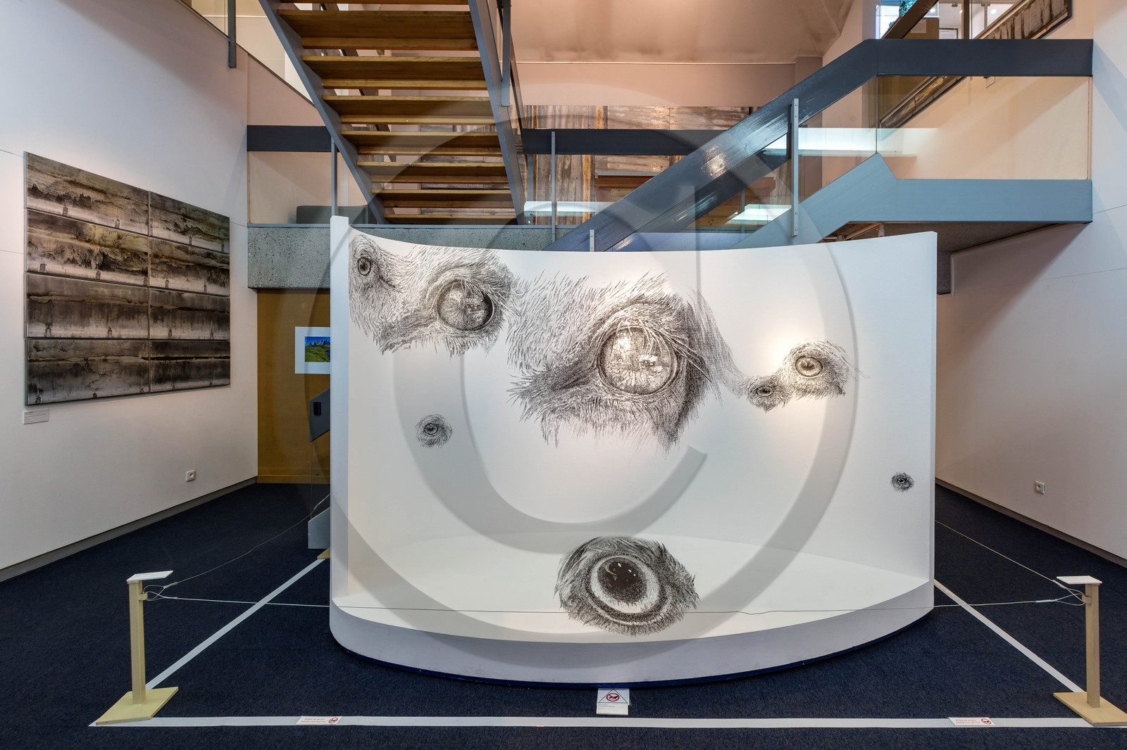 Gap, Musée Muséum départemental des Hautes-Alpes