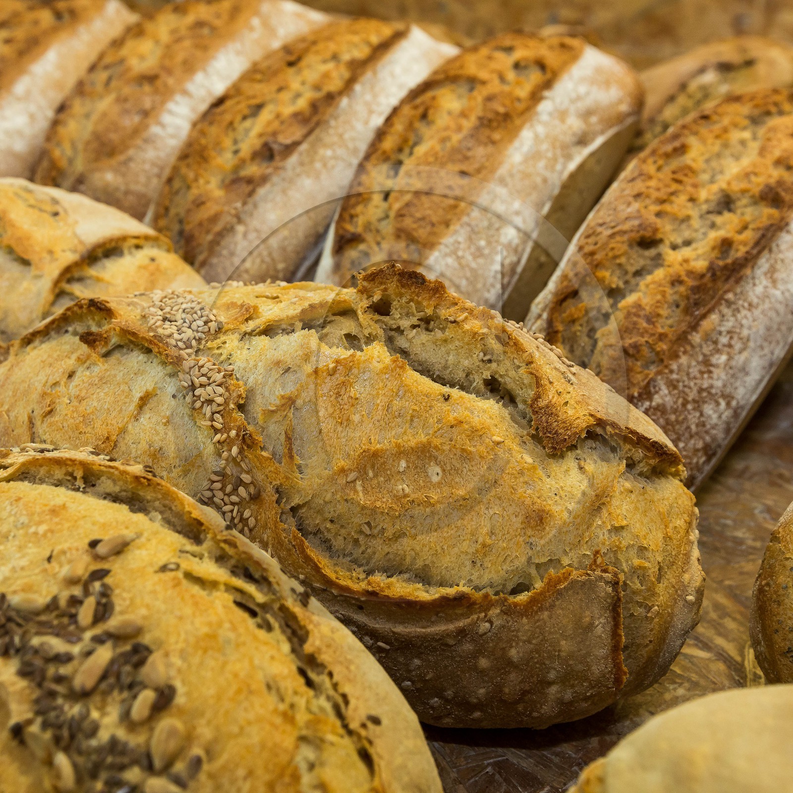 Valbonnais, Entraigues, fournil de Gragnolet, Vincent Billard fabrication pain biologique avec la farine du Trièves petri a la main methode traditionnelle  et cuit au feu de bois