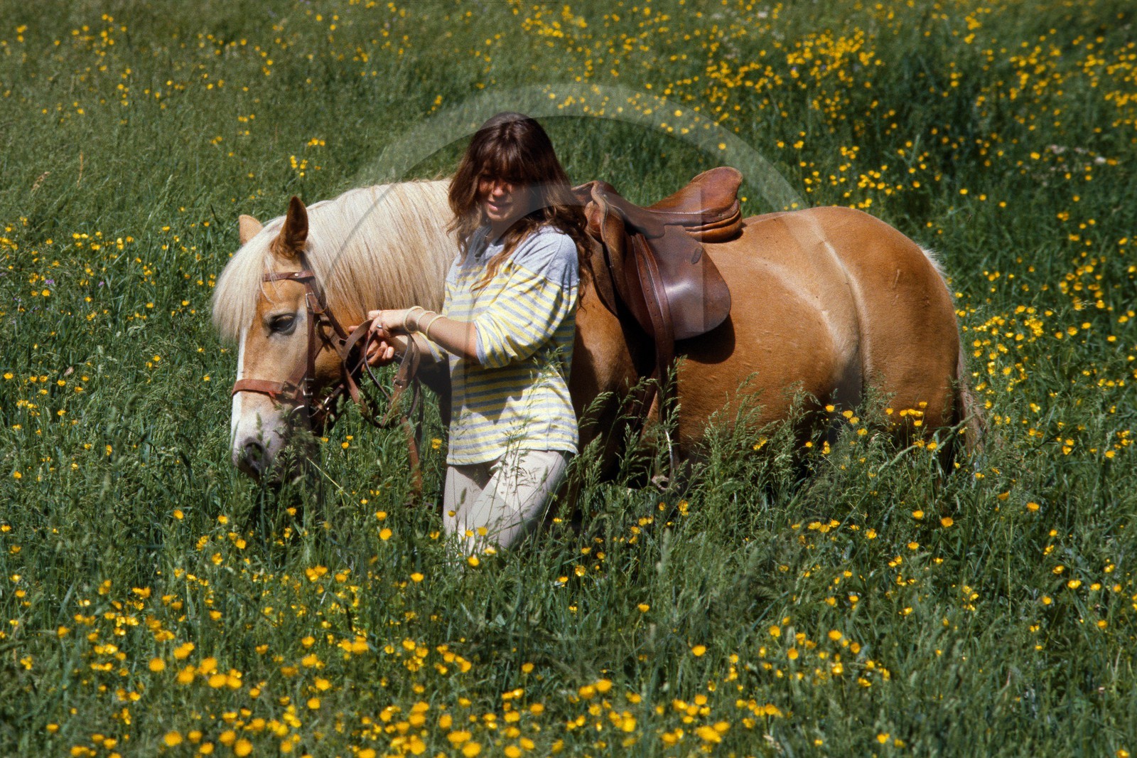 Equitation