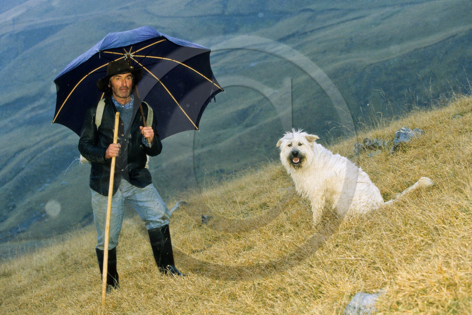 Alpage de Jujal, Le Bailou, berger