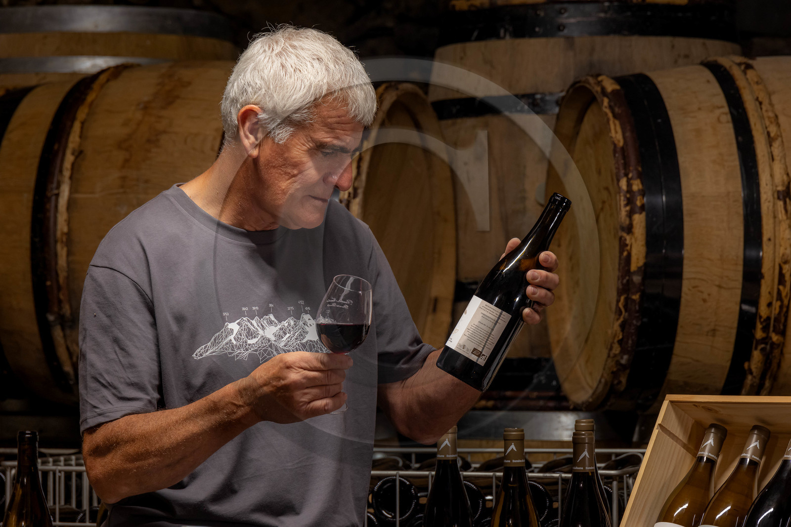 Domaine du Mont Guillaume, Emmanuel Berteloot vigneron