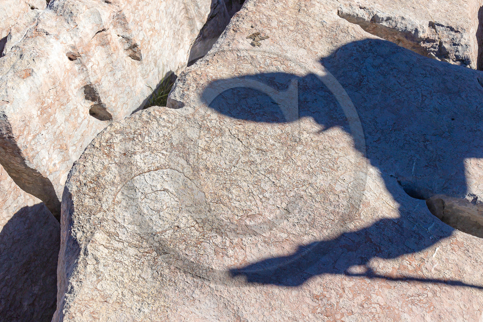 Les Oucanes de Chabrières