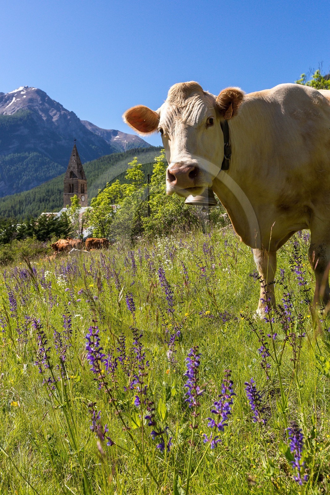 Saint-Paul-sur-Ubaye, hameau de Tournoux