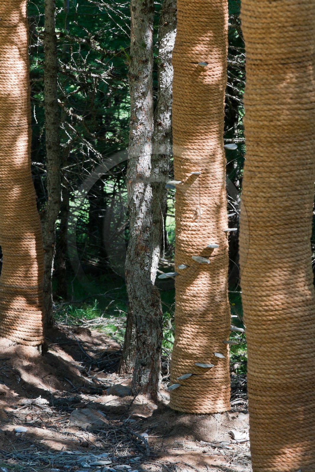 Sentiers Art et Nature Queyras et Val Varaita, Jean-François Marc
