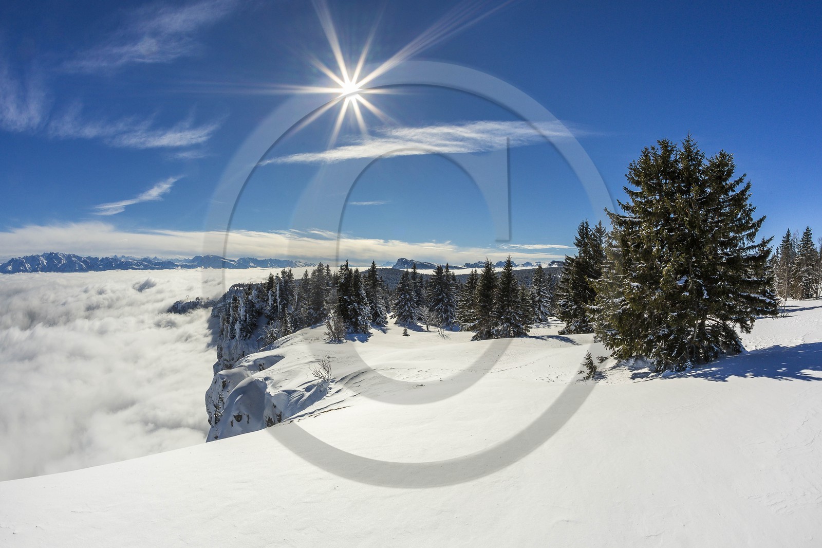 ENS de l'Isère, Plateau de la Molière et du Sornin