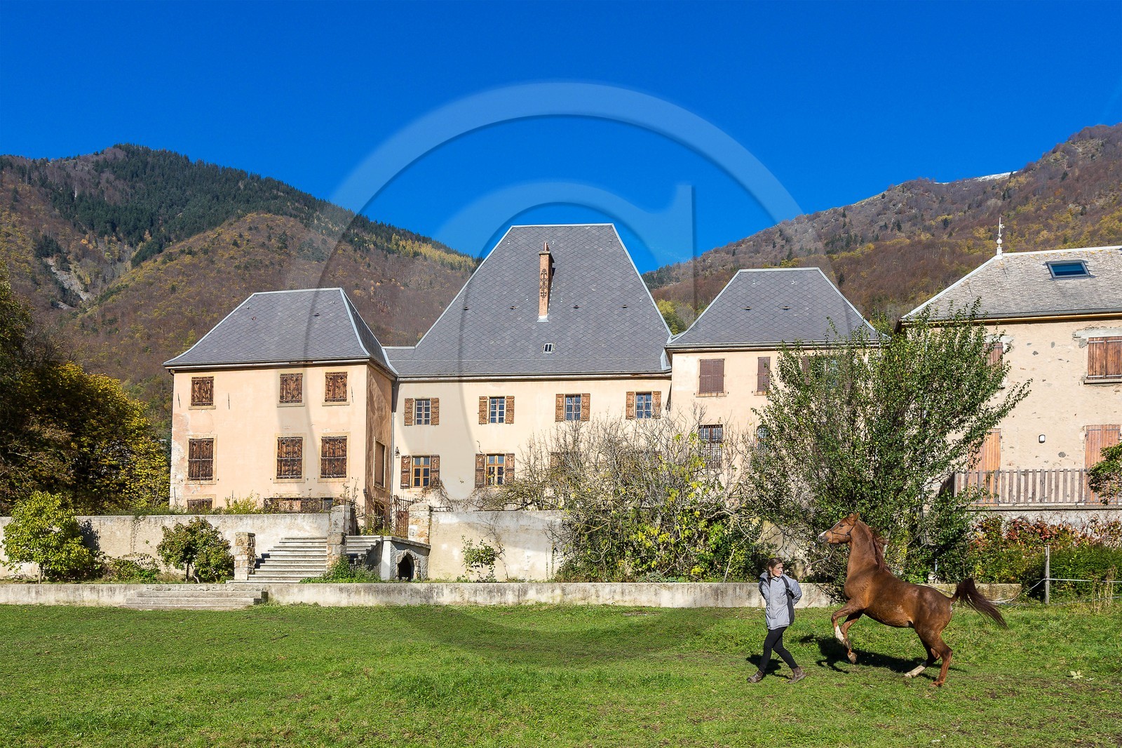 Valbonnais; Chateau Galvin, Haras du Don, Yelena Dovergne