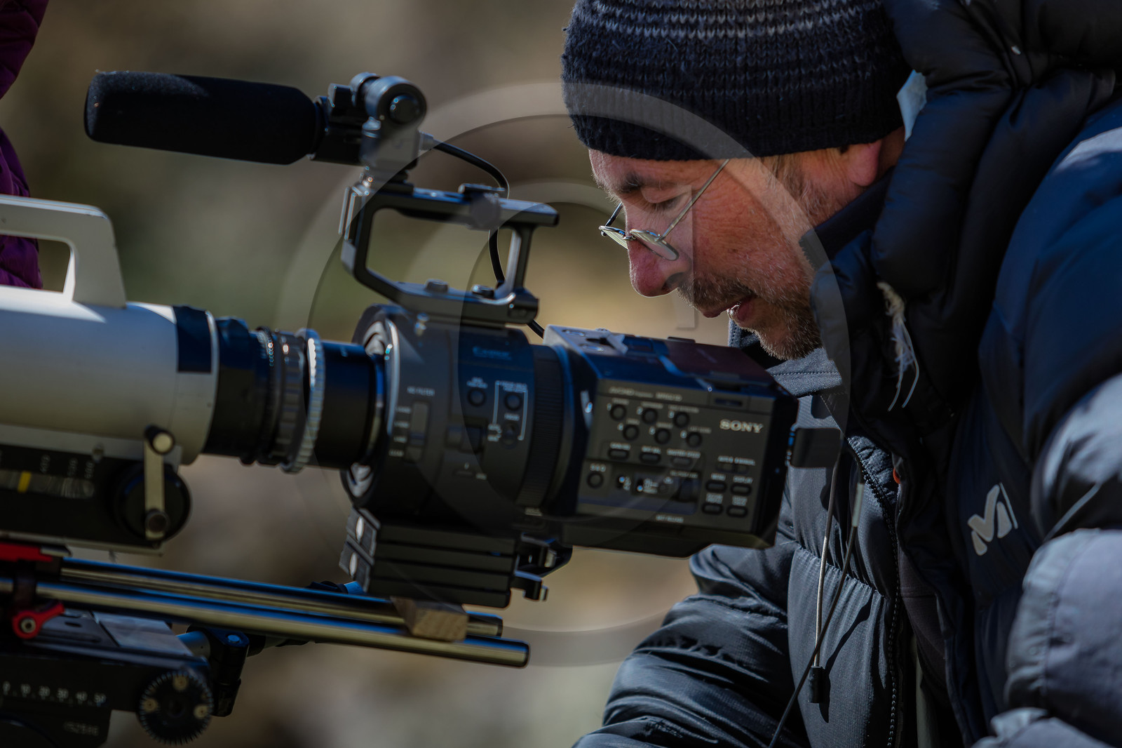 Film : La vallée des loups