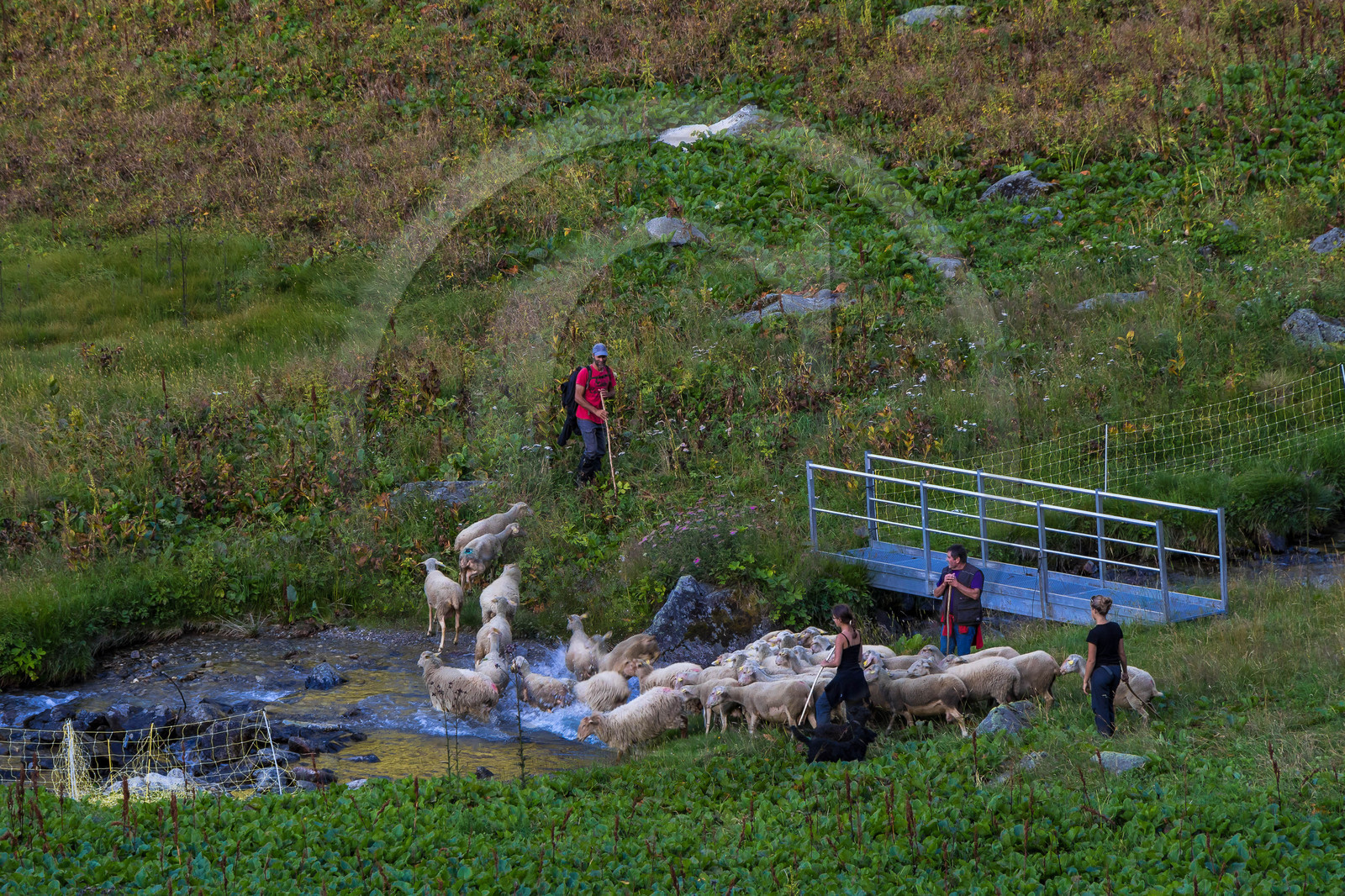 Celliers La Lèchère