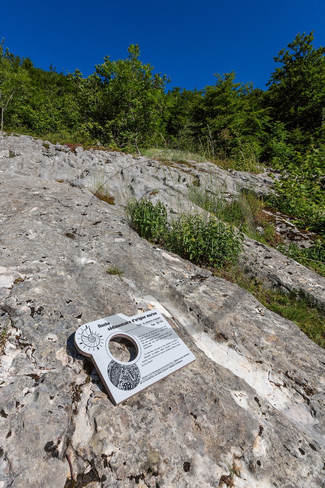 ENS de l'Isère, vallée fossile des Rimets