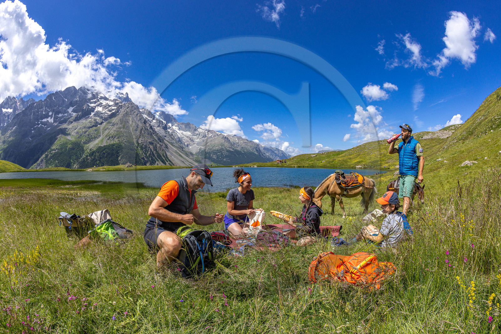 Trek famille avec animaux de bats