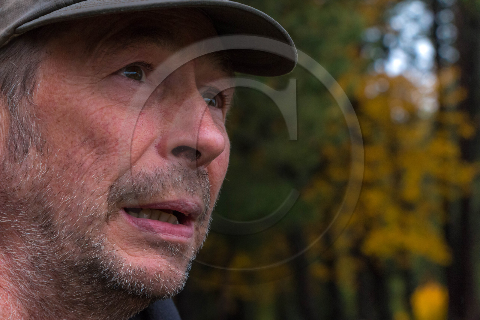 Film : La vallée des loups